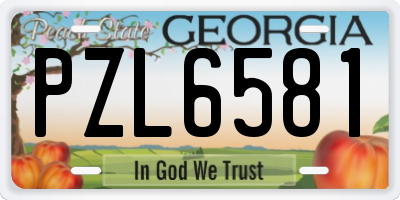 GA license plate PZL6581