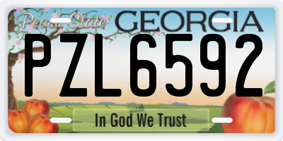 GA license plate PZL6592