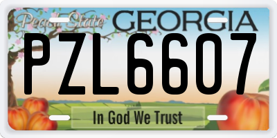 GA license plate PZL6607