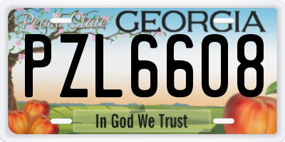 GA license plate PZL6608