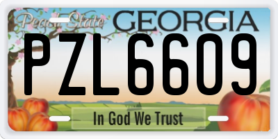 GA license plate PZL6609