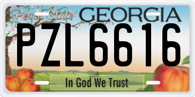 GA license plate PZL6616