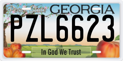 GA license plate PZL6623