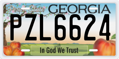 GA license plate PZL6624