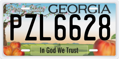 GA license plate PZL6628