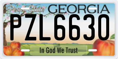 GA license plate PZL6630