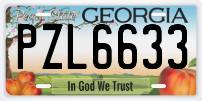 GA license plate PZL6633