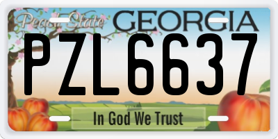 GA license plate PZL6637