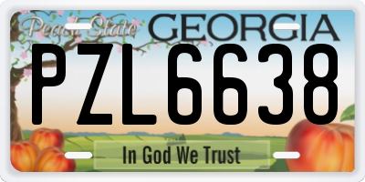 GA license plate PZL6638