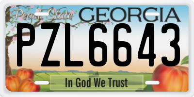 GA license plate PZL6643
