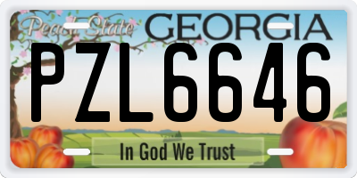 GA license plate PZL6646