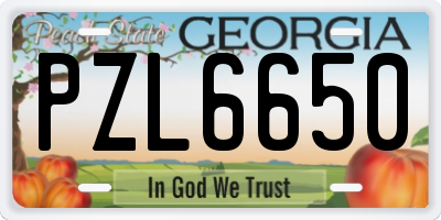 GA license plate PZL6650