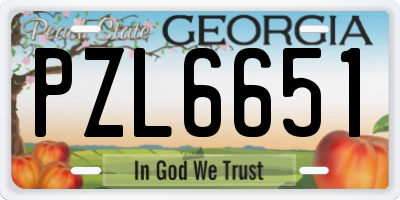 GA license plate PZL6651
