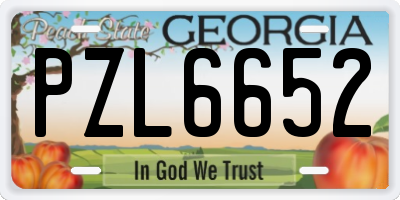 GA license plate PZL6652