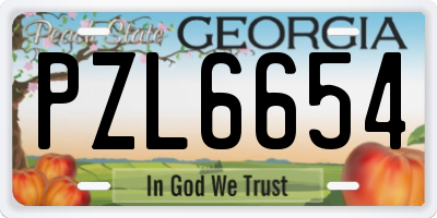 GA license plate PZL6654