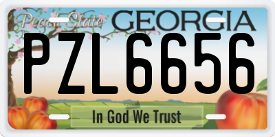 GA license plate PZL6656