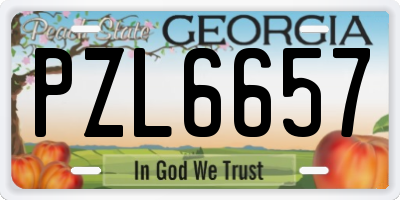 GA license plate PZL6657