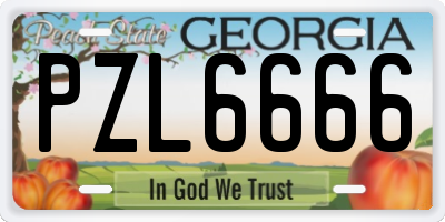 GA license plate PZL6666