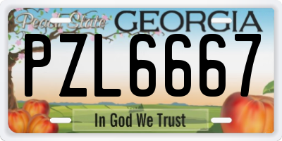 GA license plate PZL6667
