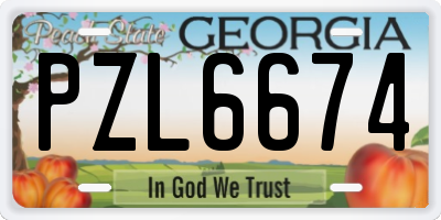 GA license plate PZL6674