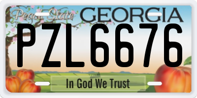 GA license plate PZL6676