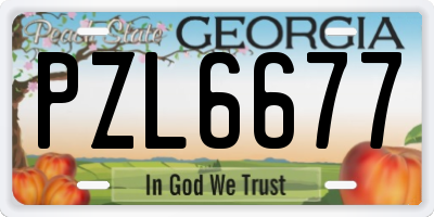 GA license plate PZL6677