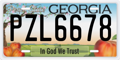 GA license plate PZL6678