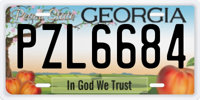 GA license plate PZL6684