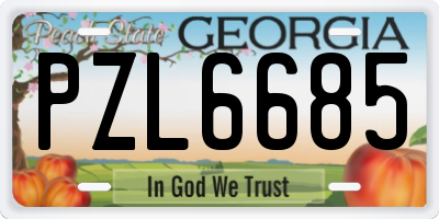 GA license plate PZL6685