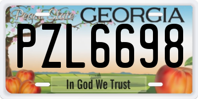 GA license plate PZL6698