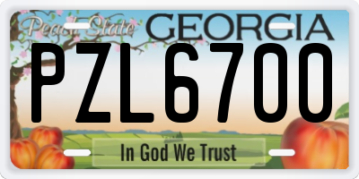 GA license plate PZL6700
