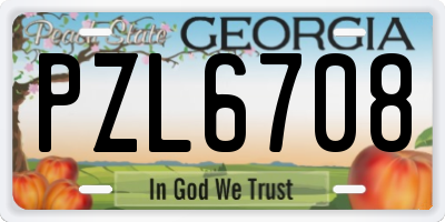 GA license plate PZL6708
