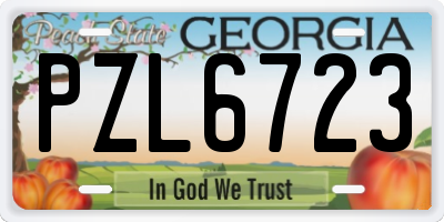 GA license plate PZL6723