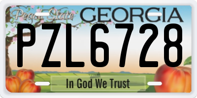 GA license plate PZL6728