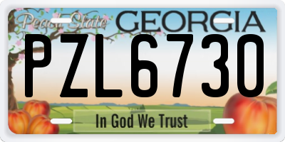 GA license plate PZL6730