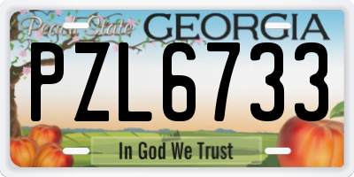 GA license plate PZL6733