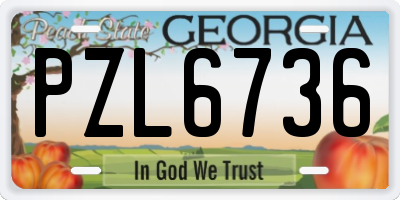 GA license plate PZL6736