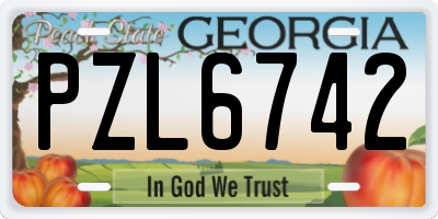 GA license plate PZL6742