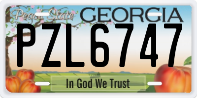 GA license plate PZL6747