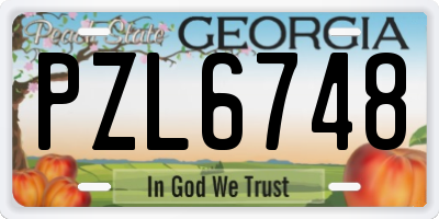 GA license plate PZL6748