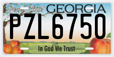 GA license plate PZL6750