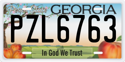 GA license plate PZL6763
