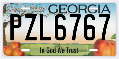 GA license plate PZL6767