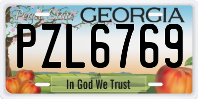 GA license plate PZL6769