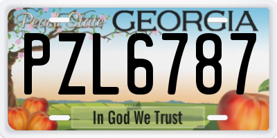 GA license plate PZL6787