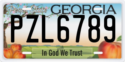 GA license plate PZL6789