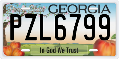 GA license plate PZL6799