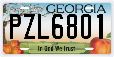 GA license plate PZL6801