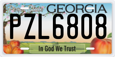 GA license plate PZL6808