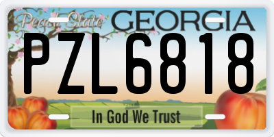 GA license plate PZL6818